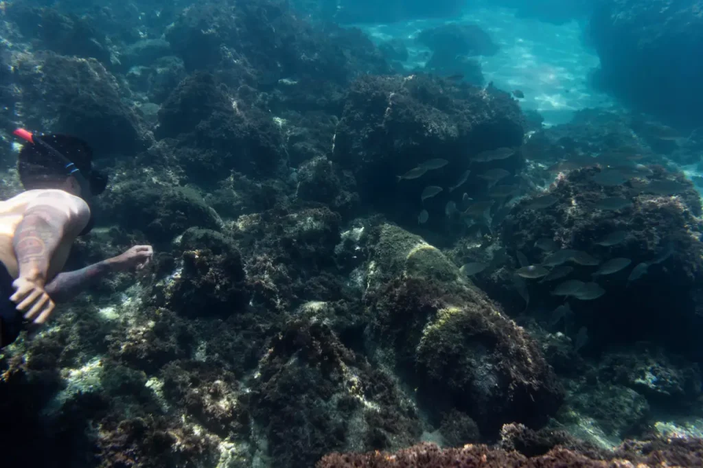 Kisite Mpunguti Marine Park