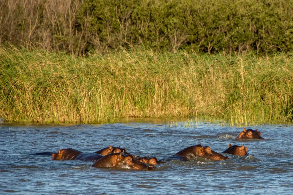 Lake Manyara National Park