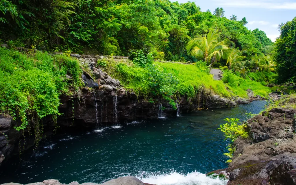 Black River Gorges National Park